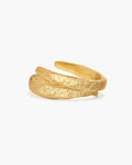 Enea Bangle